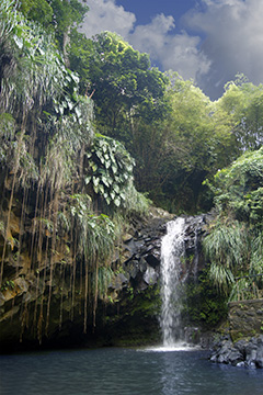 Annandale Falls web