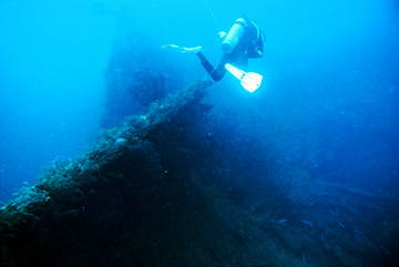 Bianca C 4711web