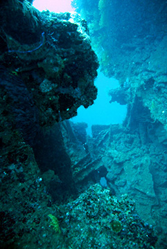 Bianca C 4713web