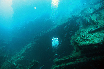 Bianca C 4724web