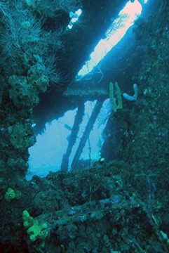 Bianca C 4744web
