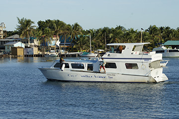 Caulker taxi9727web