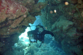 DSC_2931web