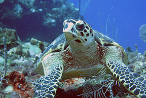 DSC_2964web
