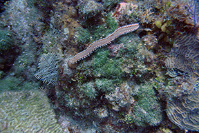 DSC_3147web