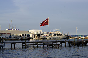 Dive shop9835web