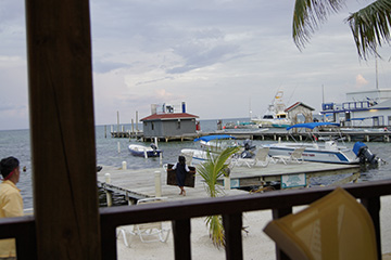 Dock9688web