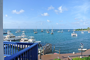 Harbor2web