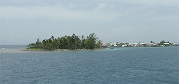 Harbour