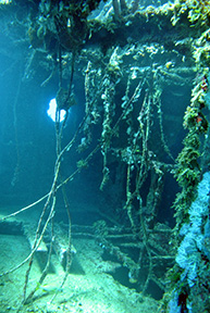Northwind 2007web