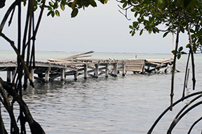 Pier9864web