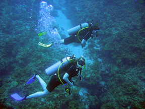 Roatan2900