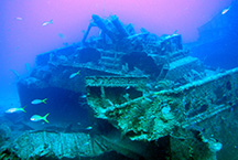 Seastar1web
