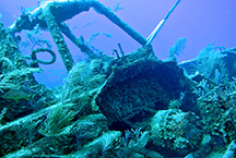 Seastar2web