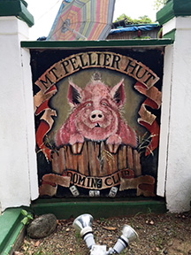 pig sign