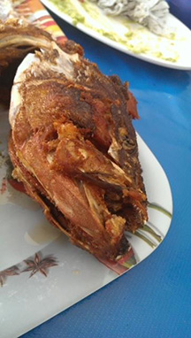 st kitts grouper